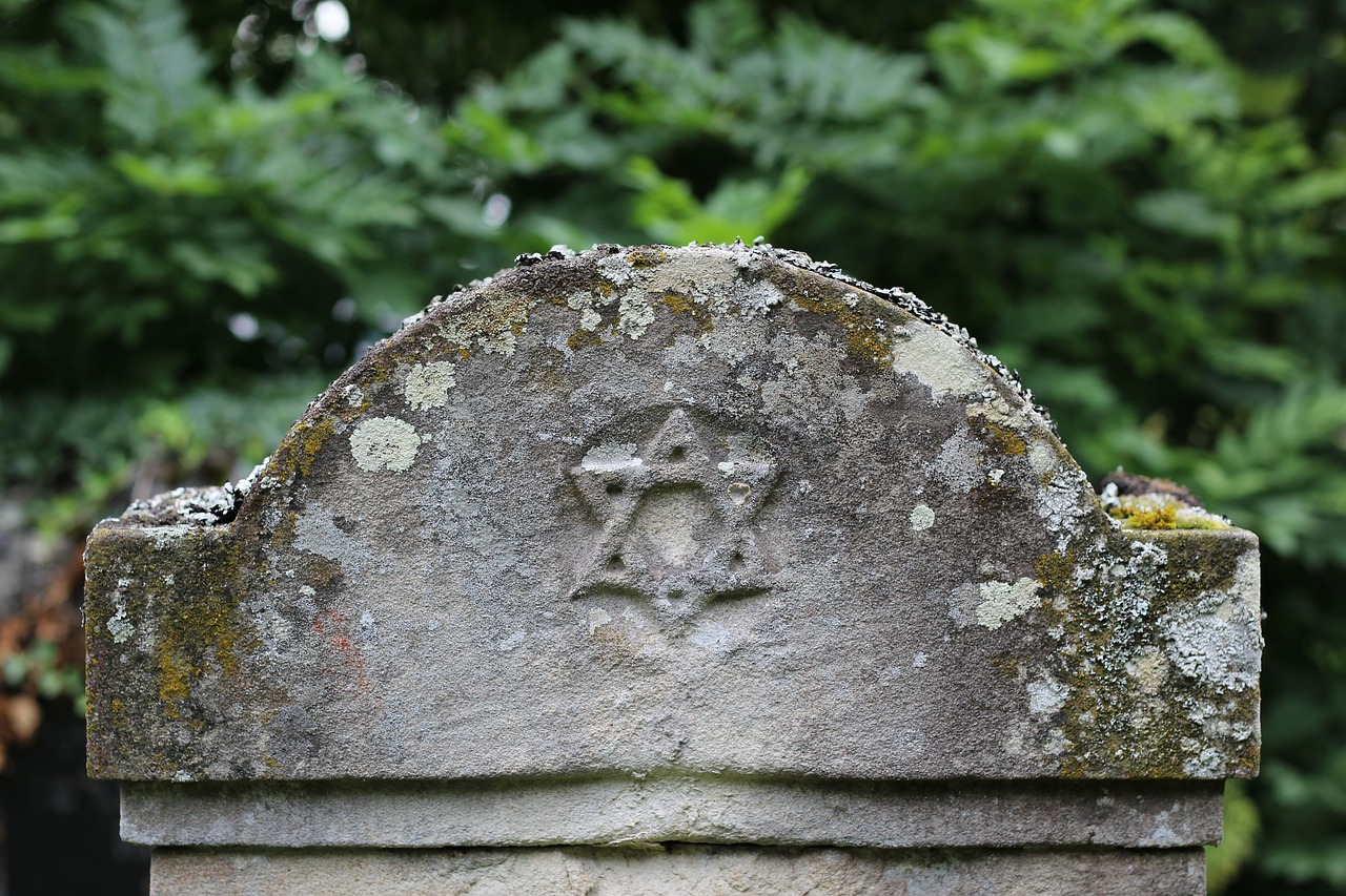千年寻踪，三国重臣张昭墓在南京惊现