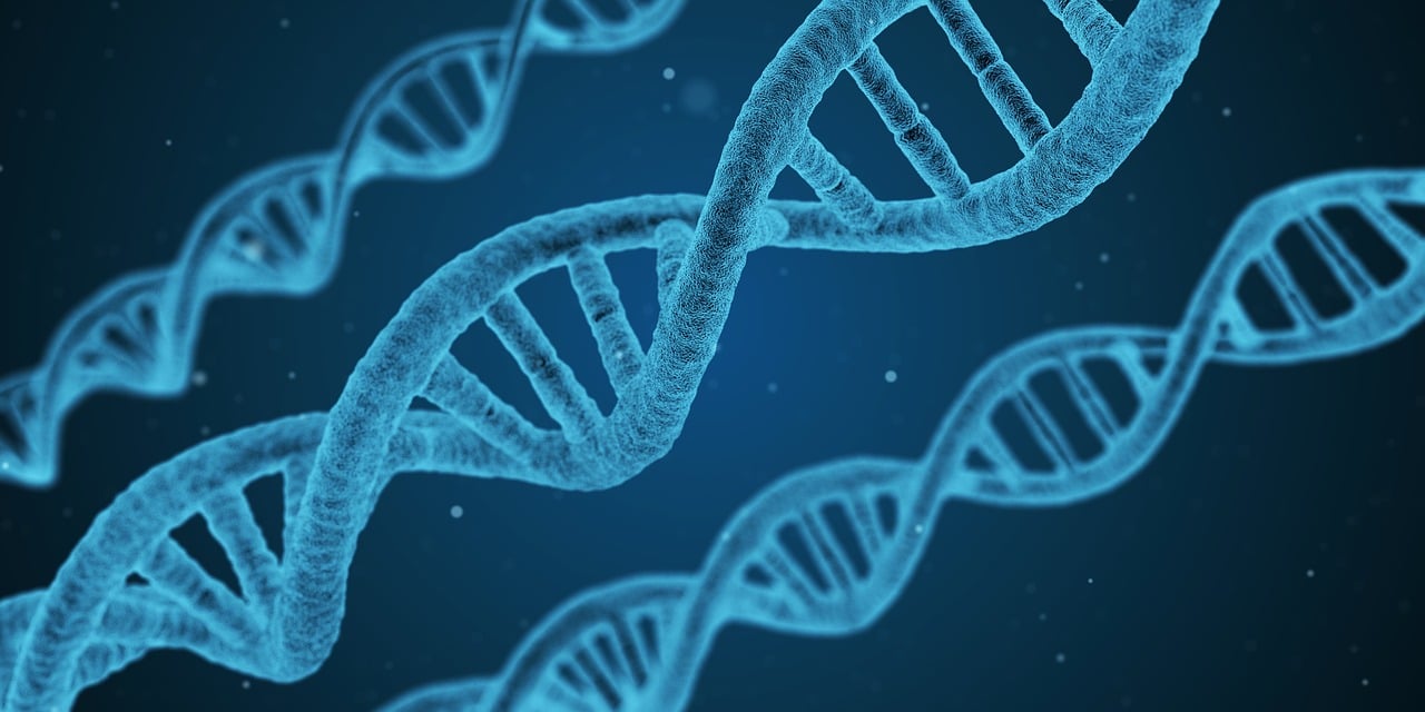 探索大乐透号码预测，牛彩网的科学与艺术