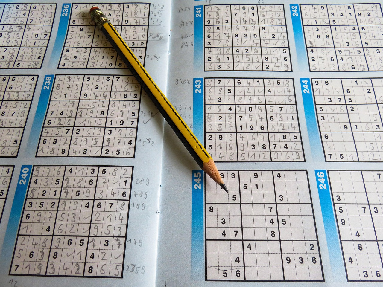 探索运动项目英文缩写，从A到Z的体育术语指南