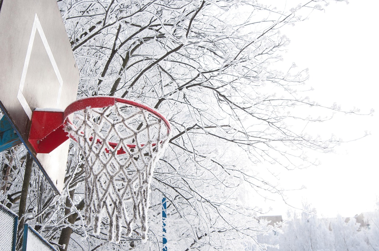 探索冬季奥运会，冰雪运动的魅力与挑战