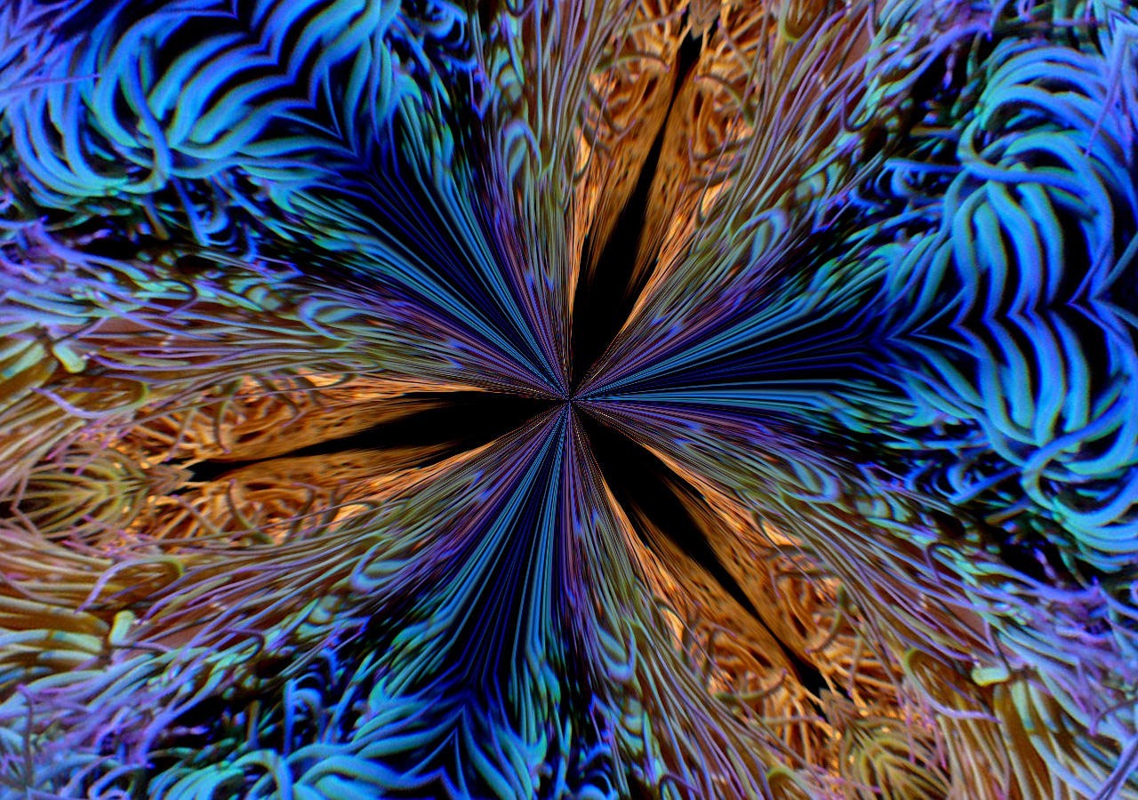 揭秘未来，七星彩开奖号码预测的艺术与科学