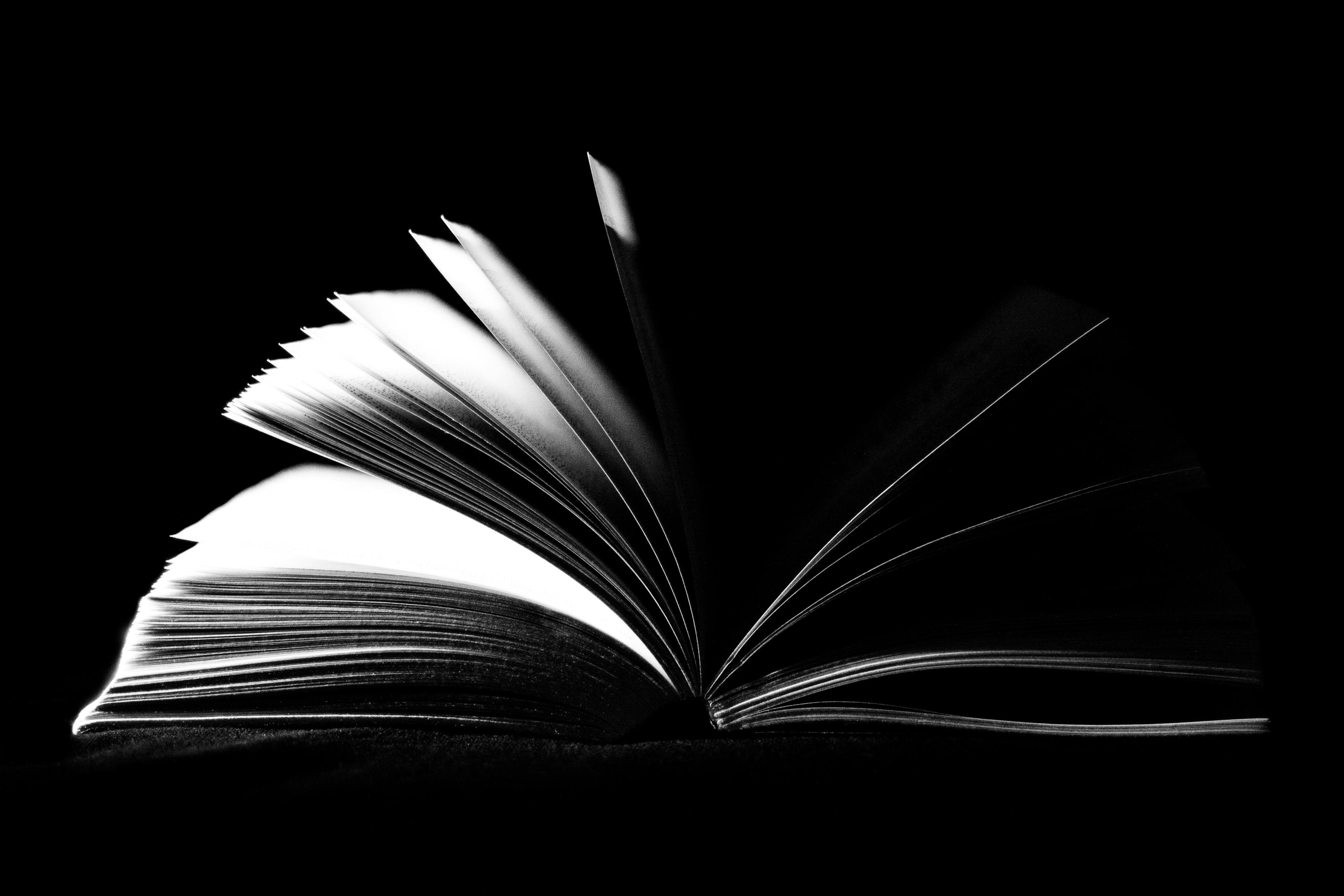 鲸鱼传媒，探索官网下载的奥秘与自媒体创作的无限可能