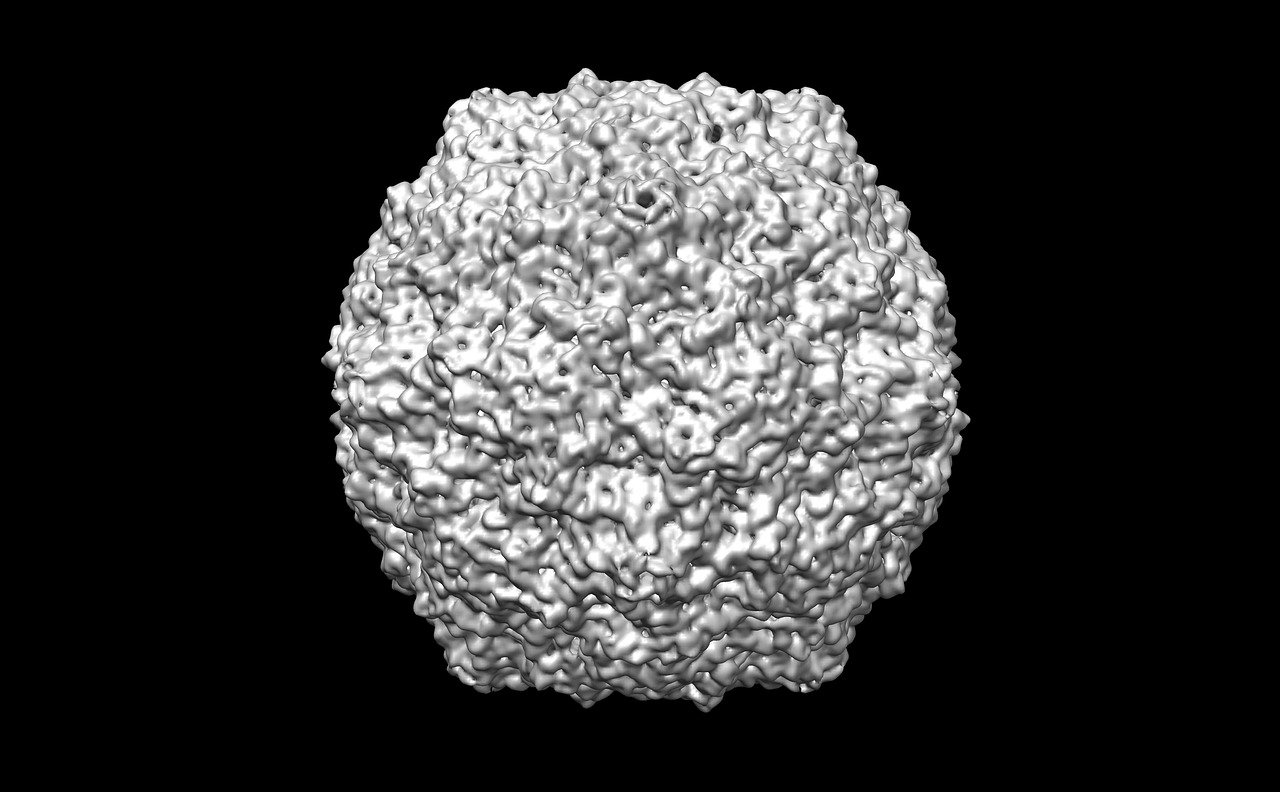 江苏病毒V，深入了解与科学防护