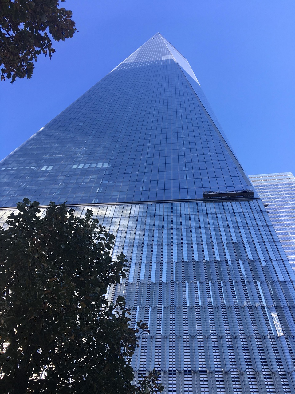 探索蓝鲸网络科技，连接未来的数字桥梁