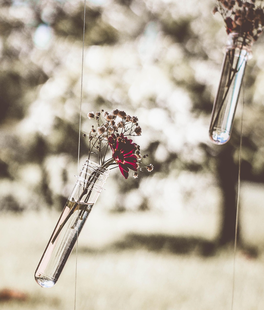 Unlocking Passion:The Power of Loving to Do Something in English