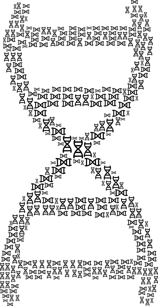 双色球与排列三排走势图，解密彩票中奖的科学艺术