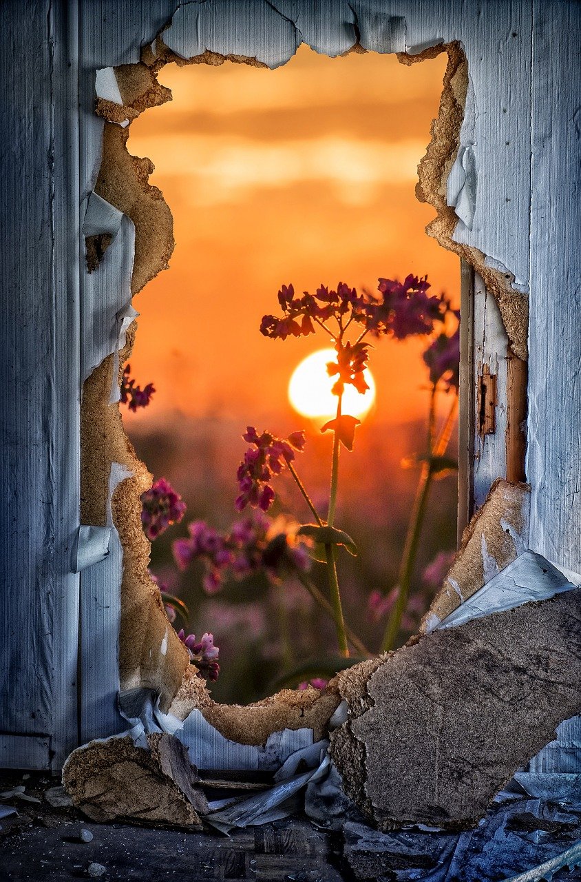 Unlocking Passion:The Power of Loving to Do Something in English